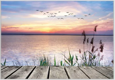 Produktbild von Wallario Wandbild Seepanorama mit Schilf und fliegenden Vögeln, Größe: 70,30 x 100,30 cm, Poster mit weißem Kunststoffrahmen