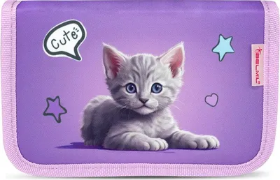 Produktbild von Belmil ungefülltes Federmäppchen "Little kittens"
