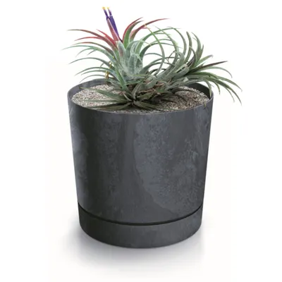 Productafbeelding van Bloempot, rond, kunststof, betonlook. Plantenpotten, antraciet. Onderzetters. Zaaiers, diameter 23,9 cm. Plantenbakken. Geschikt voor: vetplanten, cactussen, kruiden, kamerplanten, decoratie, huis, balkon, tuin, kantoor