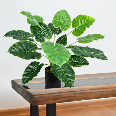 Produktbild von Decovego Künstlicher Aronstab (Araceae Arum Taro), Kunstpflanze aus hochwertigem Kunststoff, 60 cm Höhe, für Innenbereiche, pflegeleicht & allergikerfreundlich