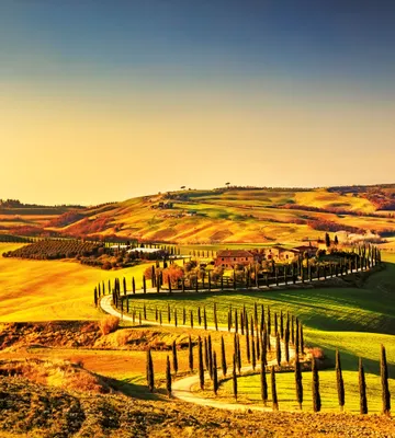 Produktbild von Fototapete - Tuscany 225x250cm - Vliestapete
