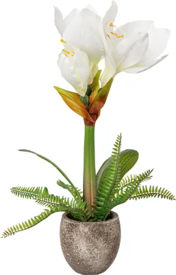 Produktbild von ohne Marke Kunstpflanze Amaryllis weiß OneSize