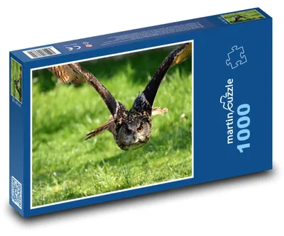 Obrázok produktu pre Puzzle 1000 Sova v lete nad lúkou - martinpuzzle