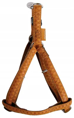 Produktbild von hundegeschirr Zolux 2,5 x 60-100 cm Kunstleder grün