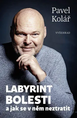 Produktbild von Das Labyrinth des Schmerzes und wie man sich darin nicht verliert