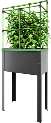 Produktbild von BioGreen Hochbeet "Heidelberg" aus Metall auf Stelzen mit Rankgitter - 43 L Kübelvolumen - 9 L Wasserspeicher
