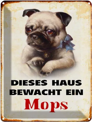 Produktbild von vianmo Blechschild 40x30 cm Hund dieses Haus bewacht ein Mops