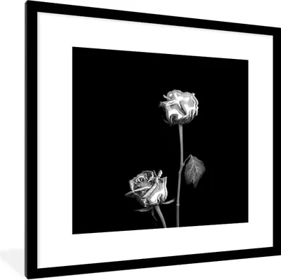 Produktbild von MuchoWow® Gerahmtes Poster Rosen - Blumen - Schwarz - Weiß 40x40 cm - Poster mit Schwarzem Bilderrahmen Wandposter Rahmen Foto Bilder - Poster - Plakat im Rahmen