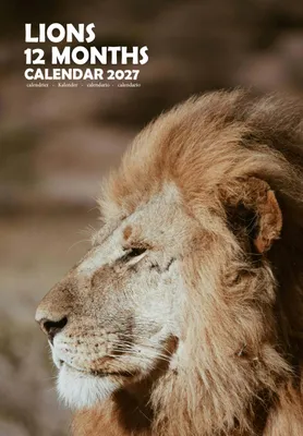 Image de Calendrier mural format A3 pour 2027, avec des lions