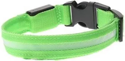 Produktbild von CHPN - LED-Halsband - Hundehalsband - Halsband - Grün - L - 45-52 cm - Tierhalsband - Halsband