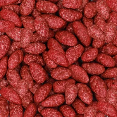Produktbild von agilus dragees Gebrannte Mandeln 300g