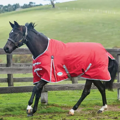 Image de Weatherbeeta Comfitec Classic Standard Medium 220g Weidedecke - red/silver/navy, 75