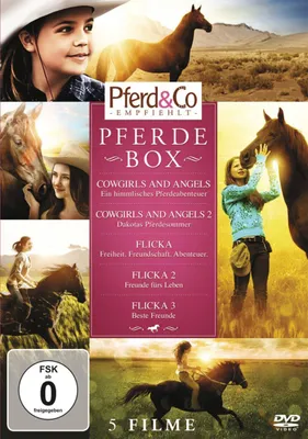 Produktbild von Pferde Box