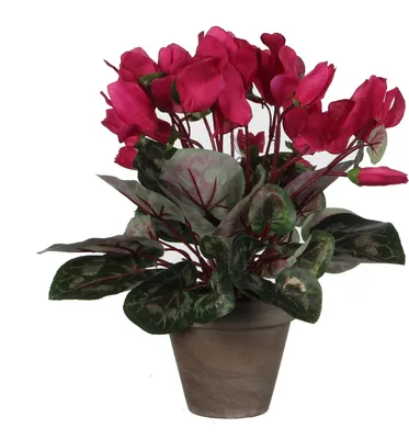 Zdjęcie produktu dla Mica Decorations Cyclamen sztuczna roślina w doniczce Stan - H30 x Ø30 cm - Ciemnoróżowy