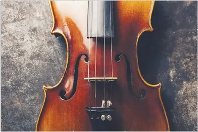 Produktbild von Wallario Wandbild Nahaufnahme einer alten Violine, Größe: 61 x 91,5 cm, Poster mit rahmenlosen Bildhalter