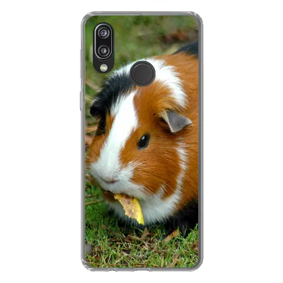 Produktbild von MuchoWow® Handyhülle Schutzhülle Hülle für Huawei P20 Lite (2020) Meerschweinchen draußen Silikon Softcase Handy Hülle - Kartenhalter