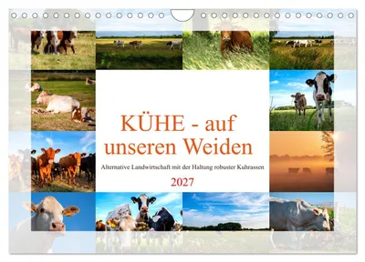 Produktbild von Kühe - auf unseren Weiden (Wandkalender 2027 DIN A4 quer), CALVENDO Monatskalender
