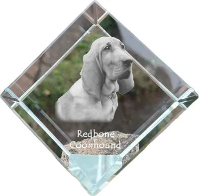 Immagine prodotto di Art-Dog Fermacarte – Redbone Coonhound