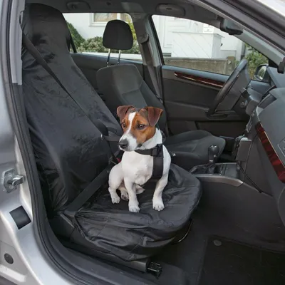 Image de Car Seat Cover Karlie 130X70Cm