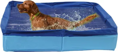 Produktbild von Zusammenklappbares Hunde-Planschbecken aus PVC für Welpen, Katzen und andere Haustiere