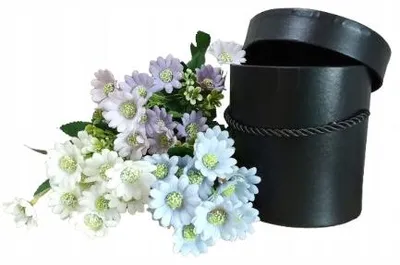 Obrázek produktu pro Vipolimex W5070 Květinový box černý 12 cm