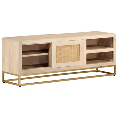 Obrázok produktu pre vidaXL TV skrinka 110x30x40 cm z masívneho dreva mango a železa