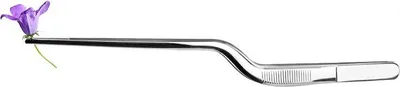 Immagine prodotto di Ibili Pinze di precisione curve 21 cm Argento Taglia unica