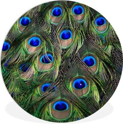Produktbild von MuchoWow® Rundes Wandbild - Runde Bilder Nahaufnahme von Pfauenfedern Ø 30 cm Kreis Wanddekoration Kunststoff - Wandkreis - Wandschmuck - Schlafzimmer - Bilder - Der Kreis - Kunst für die Wohnung - Plastik - Kunstdruck - Wandbild