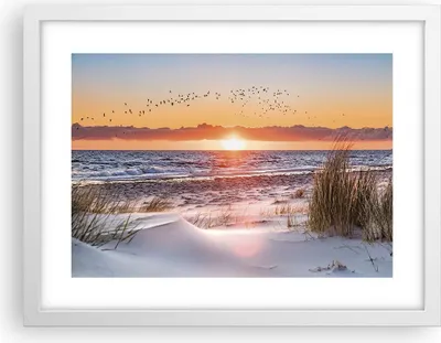 Produktbild von Gerahmtes Poster - Weißer Rahmen - Sonne Strand Vögel - 40x30 cm - Wand Bild - Wanddeko - Wandbilder - Kunstposter - Wandposter - Bilderrahmen - Bilder - Kunstdruck - Wanddekoration - P2WAA40x30-4727
