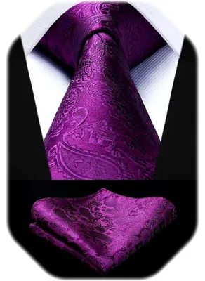 Produktbild von Herren Krawatten und Einstecktuch Set Paisley Einfarbig C-lila-2