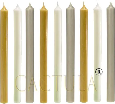 Immagine prodotto di Set di 9 candele lunghe da tavola Cactula da 28 cm – Colori di tendenza – Giallo ocra, champagne e tortora