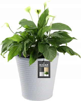 Zdjęcie produktu dla KADAX Donica Doniczka Osłonka Na Kwiaty Szara 40 cm