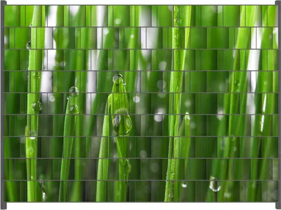 Produktbild von Wallario Zaunsichtschutz mit Motiv Wassertropfen an Grashalmen für Ein- und Doppelstabmatten Zäune in der Größe 250 x 180 cm
