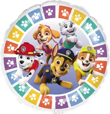 Immagine prodotto di Amscan Anagram 4494775 - Palloncino tondo in foil per bambini Paw Patrol Rainbow - 45,7 cm