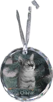 Obrázek produktu pro Chausie křišťálová medaile s kočkou Art-Dog