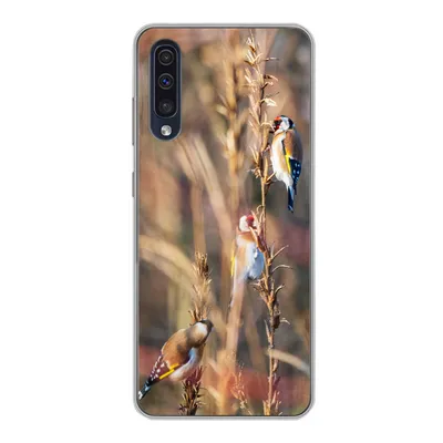 Produktbild von MuchoWow® Handyhülle Schutzhülle Hülle für Samsung Galaxy A30s Vögel - Äste - Wald Silikon Softcase Handy Hülle - Karteninhaber