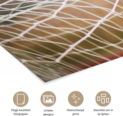 Produktbild von MuchoWow® Poster Ball im Netz 180x120 cm - Fotoplakat