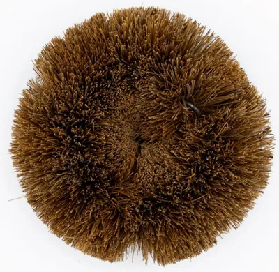 Image de Grattoir vaisselle coco