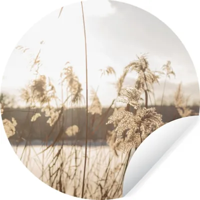 Produktbild von MuchoWow® Runde Wandtattoo - Wandsticker Tapete Aufkleber Wasser - Pampasgras - Pflanzen Ø 30 cm Selbstklebend und Repositionierbar - Wandaufkleber - Kreis - Wandbild - Fototapete - Selbstklebend - Dekoration - Wandschmuck - Schlafzimmer