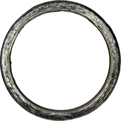 Image de Joint de collecteur pour Kymco Xciting 400 i, année de fabrication 2016-2017, de la marque Pamoto - Neuf
