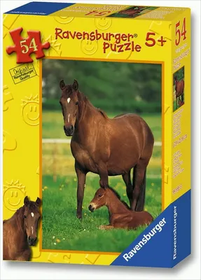 Produktbild von Minipuzzle Pferde 54 Teile