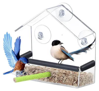 Imagen del producto de Comedero para pájaros transparente, con ventosas resistentes, ideal para ventanas, jardines y balcones