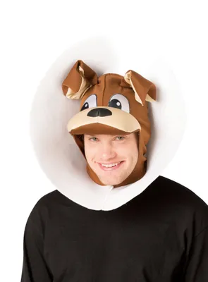 Produktbild von Hund mit Halskragen
