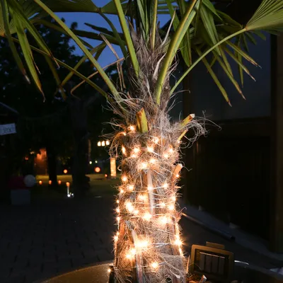 Produktbild von LED Solar Drahtlichterkette - 100 warmweiße LED - Blinkfunktion - L:9,9m - Dämmerungssensor - silber