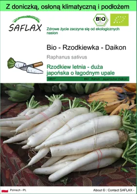 Zdjęcie produktu dla SAFLAX - Garden to go - Bio - Rzodkiewka - Daikon - 100 Nasiona - Z doniczką, pokrywą klimatyczną i podłożem do uprawy - Raphanus sativus