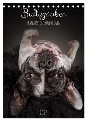 Produktbild von Bullyzauber - Französische Bulldoggen (Tischkalender 2027 DIN A5 hoch), CALVENDO Monatskalender
