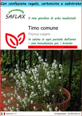 Immagine prodotto di SAFLAX Set regalo - Timo comune - 200 semi - Thymus