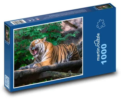 Obrázok produktu pre Puzzle 1000 Relaxujúci tiger v džungli - martinpuzzle