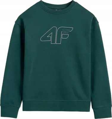 Produktbild von Sweatshirt 4F SWEATSHIRT 4F M1960 MEERESKRÄUTER
