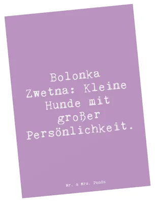 Produktbild von Mr. & Mrs. Panda Postkarte Spruch Bolonka Zwetna Charme - Lavendeltraum - Geschenk, Ansichtskarte, Hunderassen, Grußkarte, Hunderasse, Familienhund, Ansichtskarten, Hund